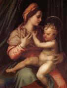 The Virgin and Child Andrea del Sarto
